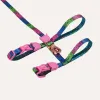Набор шлейки и поводка для котов Zee.Cat Lords of zee.Town Melted Harness + Leash Set - Фото№4