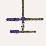 Набор шлейки и поводка для котов Zee.Cat Lords of zee.Town Zmiley Harness + Leash Set Набор шлейки и поводка для котов Zee.Cat Lords of zee.Town Zmiley Harness + Leash Set