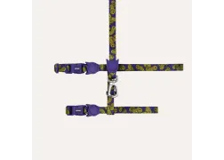 Набор шлейки и поводка для котов Zee.Cat Lords of zee.Town Zmiley Harness + Leash Set
