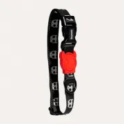 Ошейник для собак Zee.Dog - Skull 2.0 black