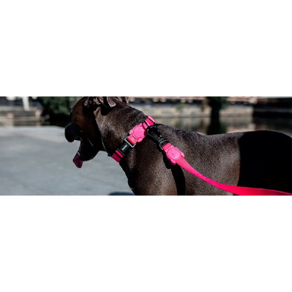 Ошейник для собак Zee.Dog - Pink LED