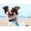 Ошейник для собак Zee.Dog Lola - Фото№5