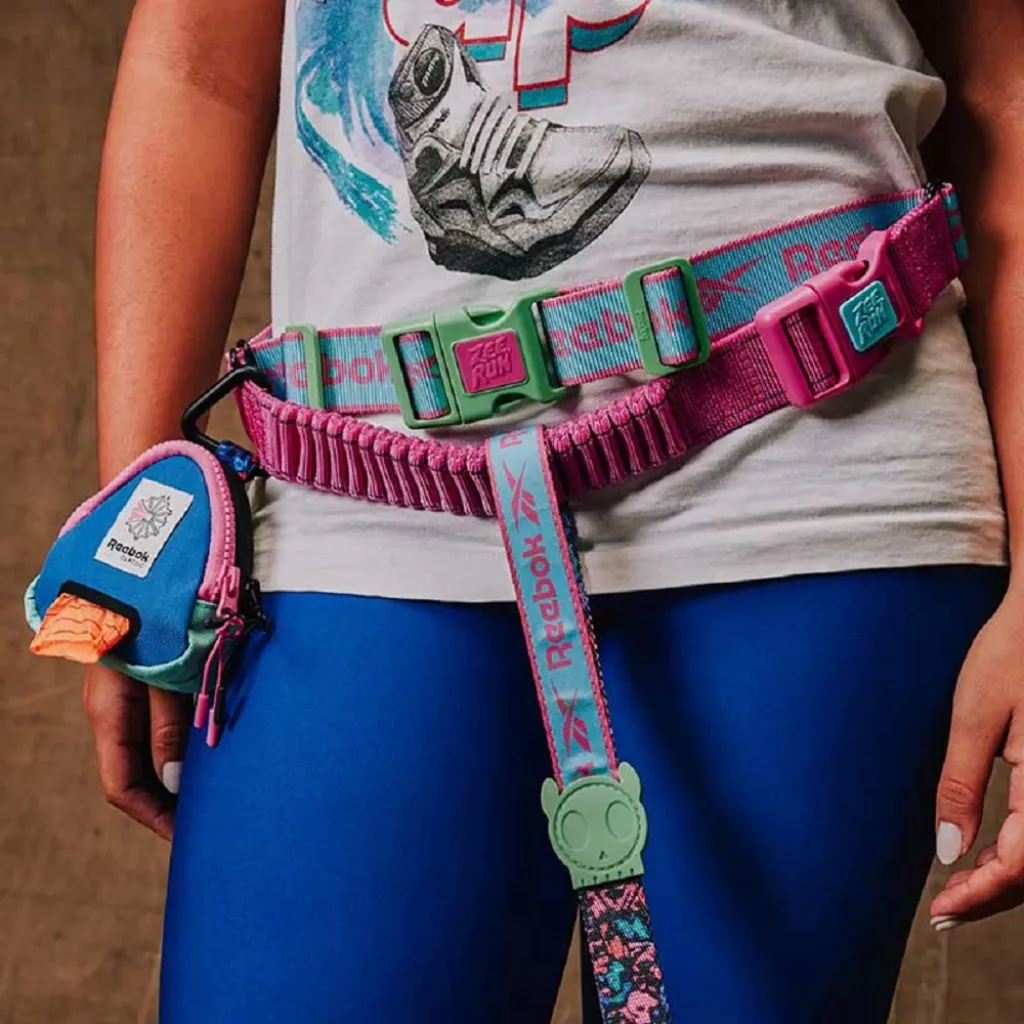 Ремень для бега с амортизирующим ремнем-поводком Zee.Dog - Zee.Run Belt Aerobic Ремень для бега с амортизирующим ремнем-поводком Zee.Dog - Zee.Run Belt Aerobic