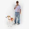 Поводок для собак Zee.Dog Gazelle Handsfree Leash, 120-240 см - Фото№4