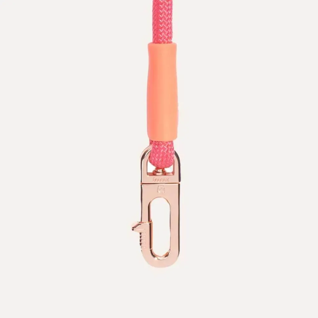 Поводок для собак Zee.Dog Gazelle Handsfree Leash, 120-240 см Поводок для собак Zee.Dog Gazelle Handsfree Leash, 120-240 см