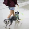 Поводок для собак Zee.Dog Fluo Neopro Handsfree Leash, 120-240 см - Фото№11