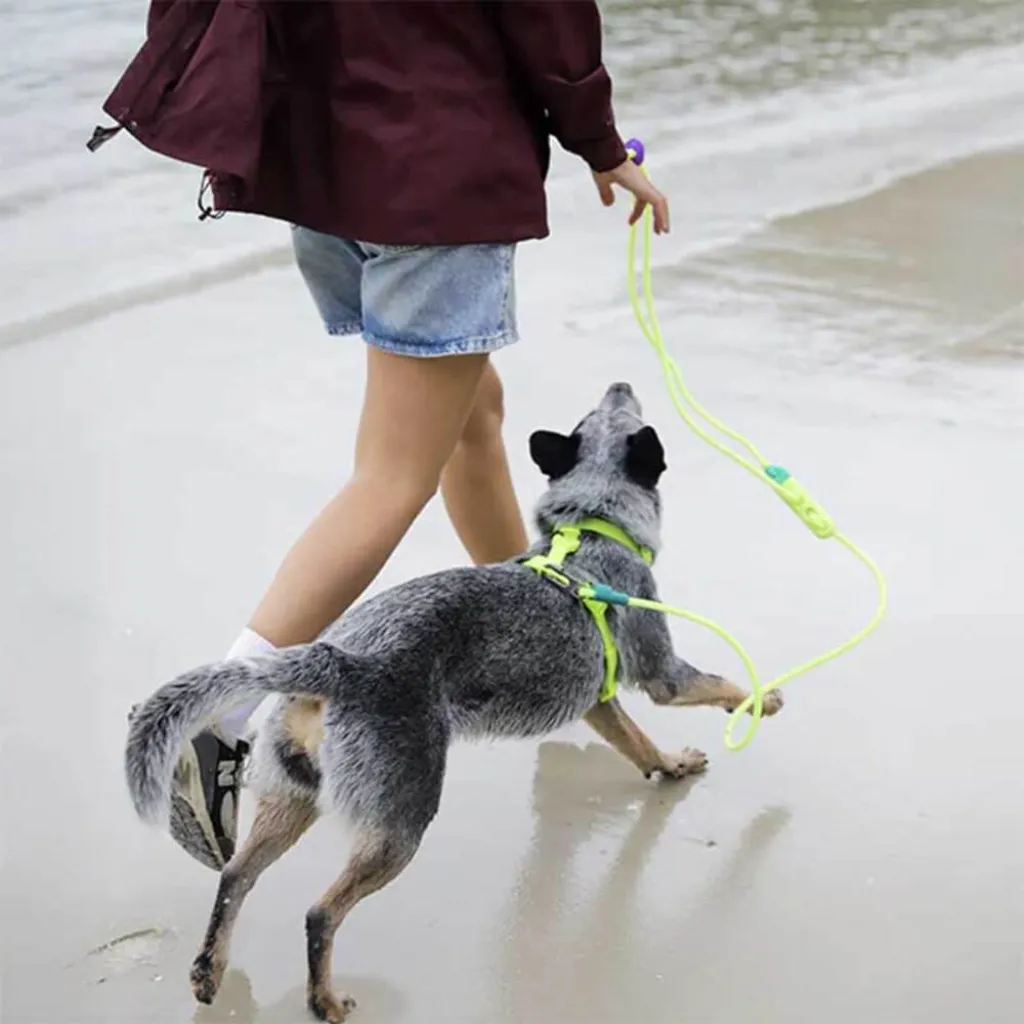 Поводок для собак Zee.Dog Fluo Neopro Handsfree Leash, 120-240 см