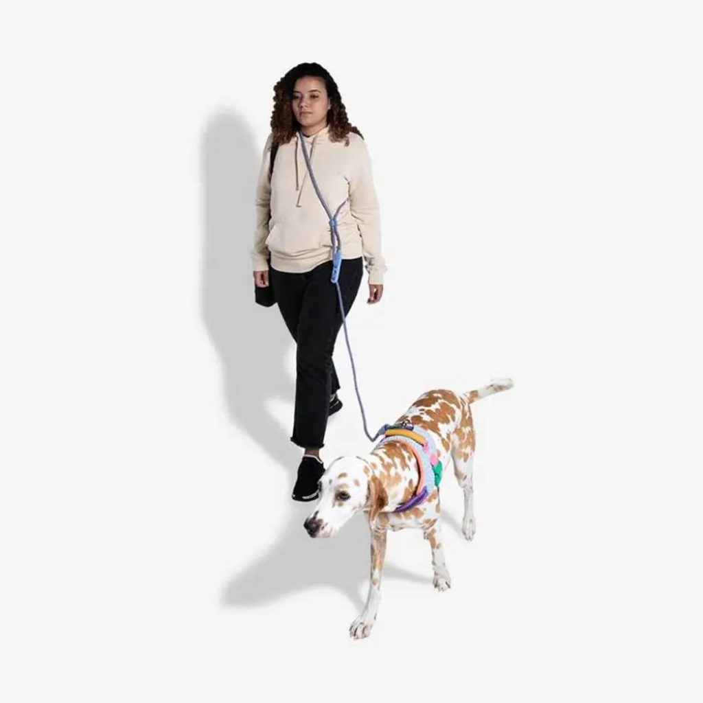 Поводок для собак Zee.Dog Andromeda Handsfree Leash, 120-240 см