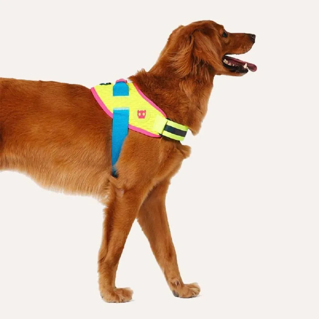 Шлейка для собак Zee.Dog - Cmyk Flyharness
