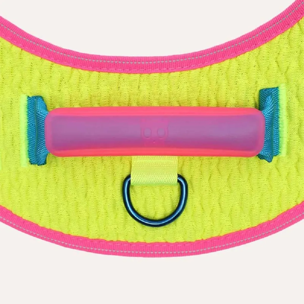 Шлейка для собак Zee.Dog - Cmyk Flyharness