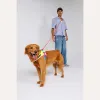 Шлейка для собак Zee.Dog - Cmyk Flyharness - Фото№7