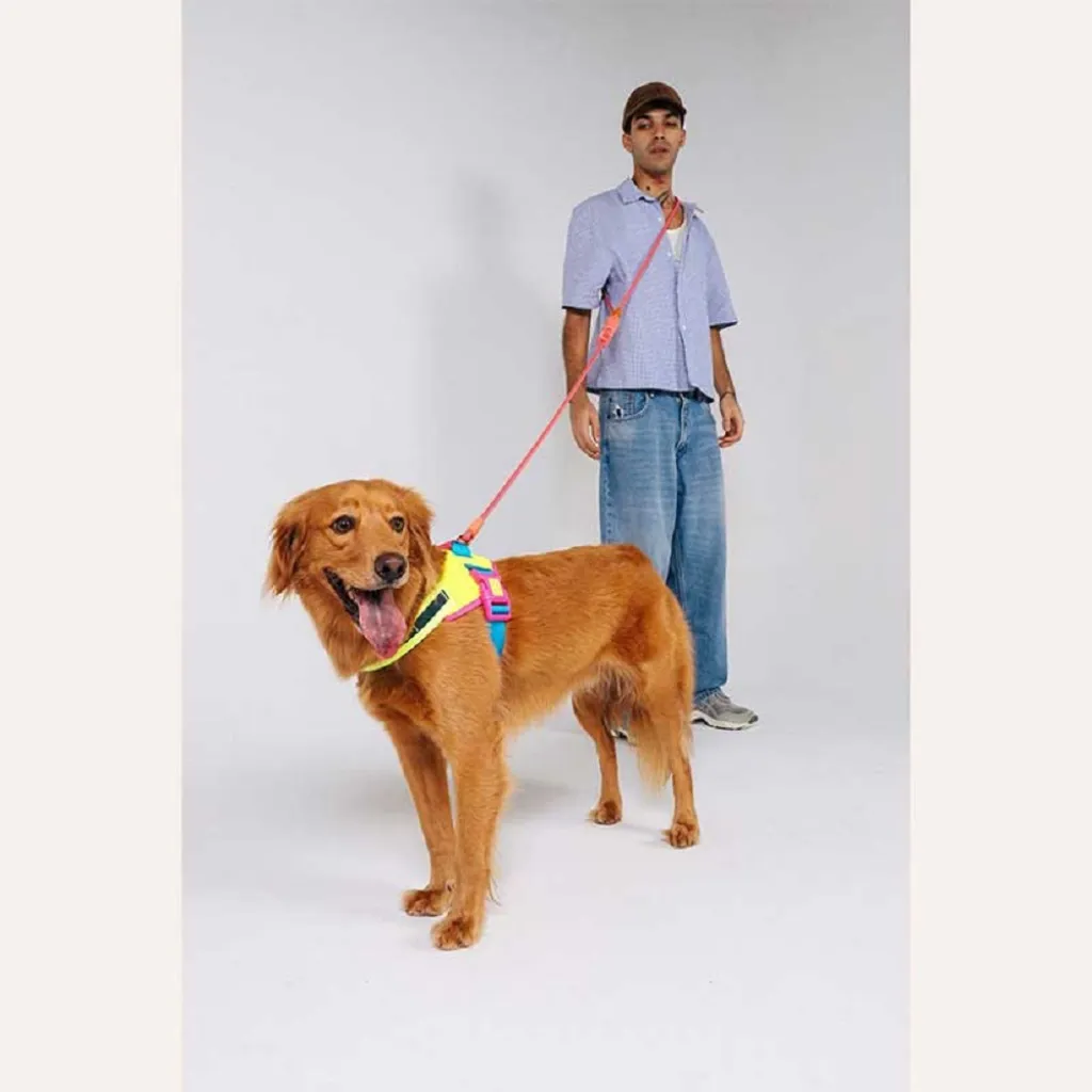 Шлейка для собак Zee.Dog - Cmyk Flyharness
