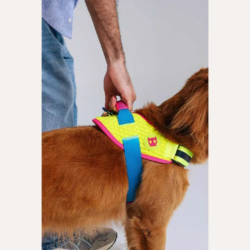 Шлейка для собак Zee.Dog - Cmyk Flyharness