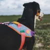 Шлейка для собак Zee.Dog - Galaxy FlyHarness - Фото№7