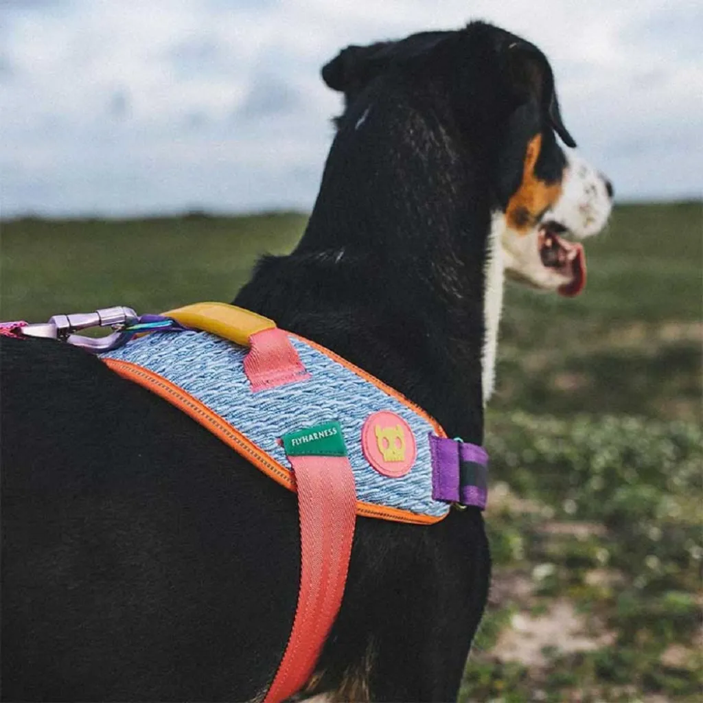 Шлейка для собак Zee.Dog - Galaxy FlyHarness Шлейка для собак Zee.Dog - Galaxy FlyHarness