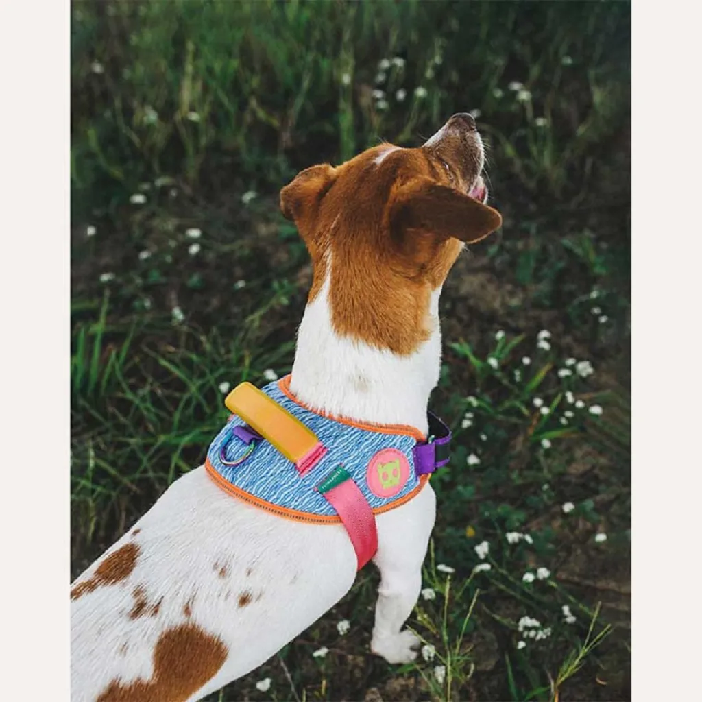 Шлейка для собак Zee.Dog - Galaxy FlyHarness Шлейка для собак Zee.Dog - Galaxy FlyHarness