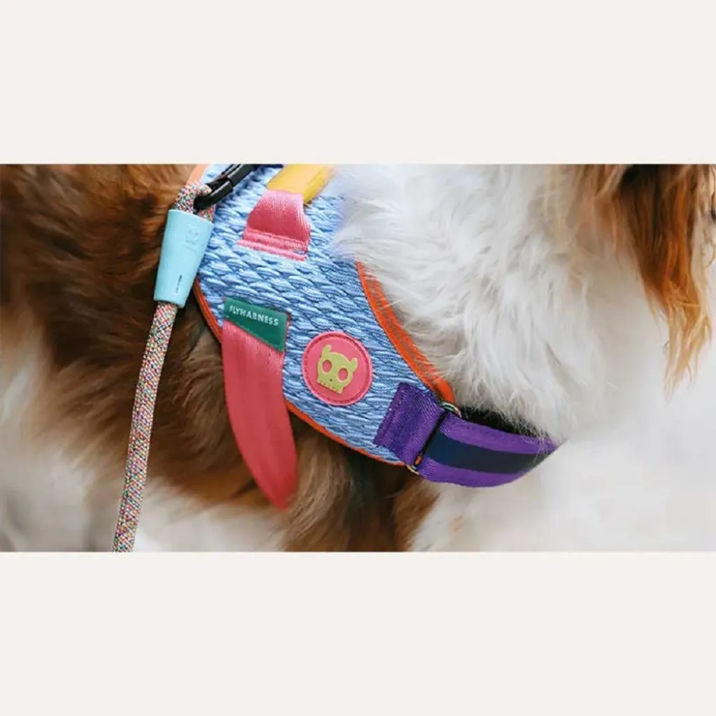 Шлейка для собак Zee.Dog - Galaxy FlyHarness Шлейка для собак Zee.Dog - Galaxy FlyHarness