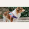 Шлейка для собак Zee.Dog - Galaxy FlyHarness - Фото№10