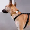 Шлейка для собак Zee.Dog Gotham H-Harness - Фото№6