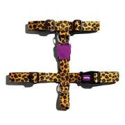 Шлейка для собак Zee.Dog Honey H-Harness Шлейка для собак Zee.Dog Honey H-Harness