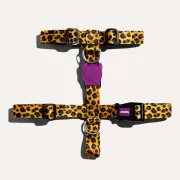 Шлейка для собак Zee.Dog Honey H-Harness
