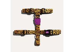 Шлейка для собак Zee.Dog Honey H-Harness Шлейка для собак Zee.Dog Honey H-Harness