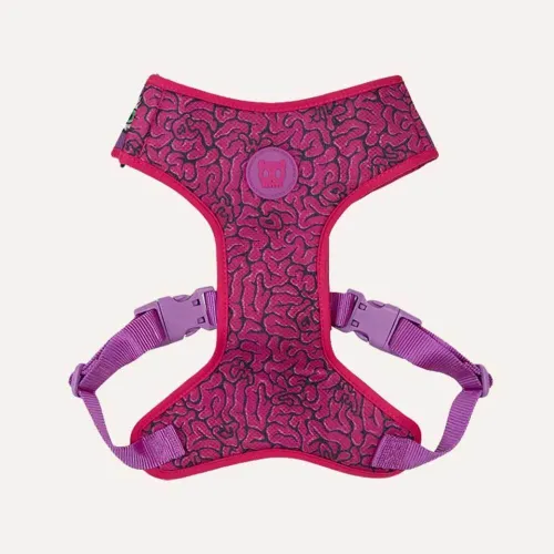Шлейка для собак Zee.Dog Lords Brain Adjustable Air Mesh Harness - Фото№1