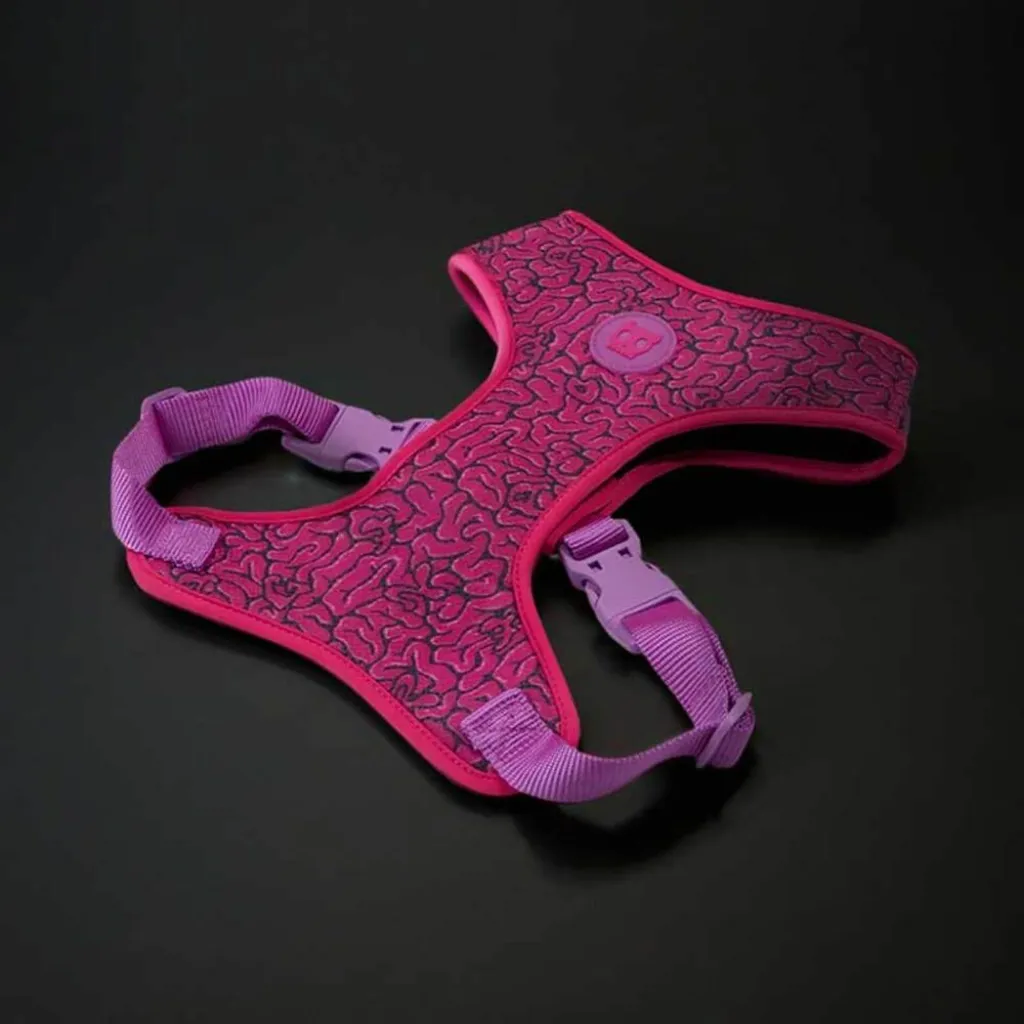 Шлейка для собак Zee.Dog Lords Brain Adjustable Air Mesh Harness