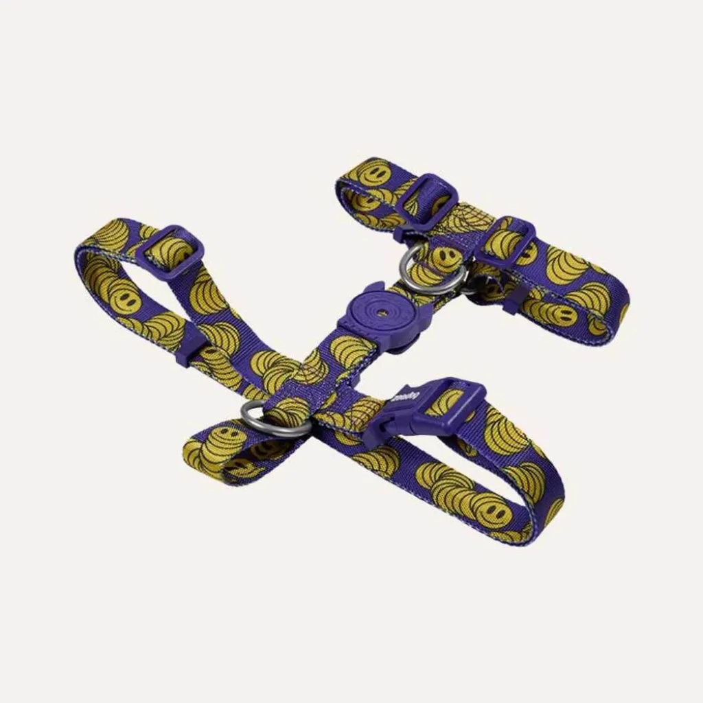 Шлейка для собак Zee.Dog Lords Zmiley H-Harness