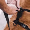 Шлейка для собак Zee.Dog Lords Pink LED H-Harness - Фото№3