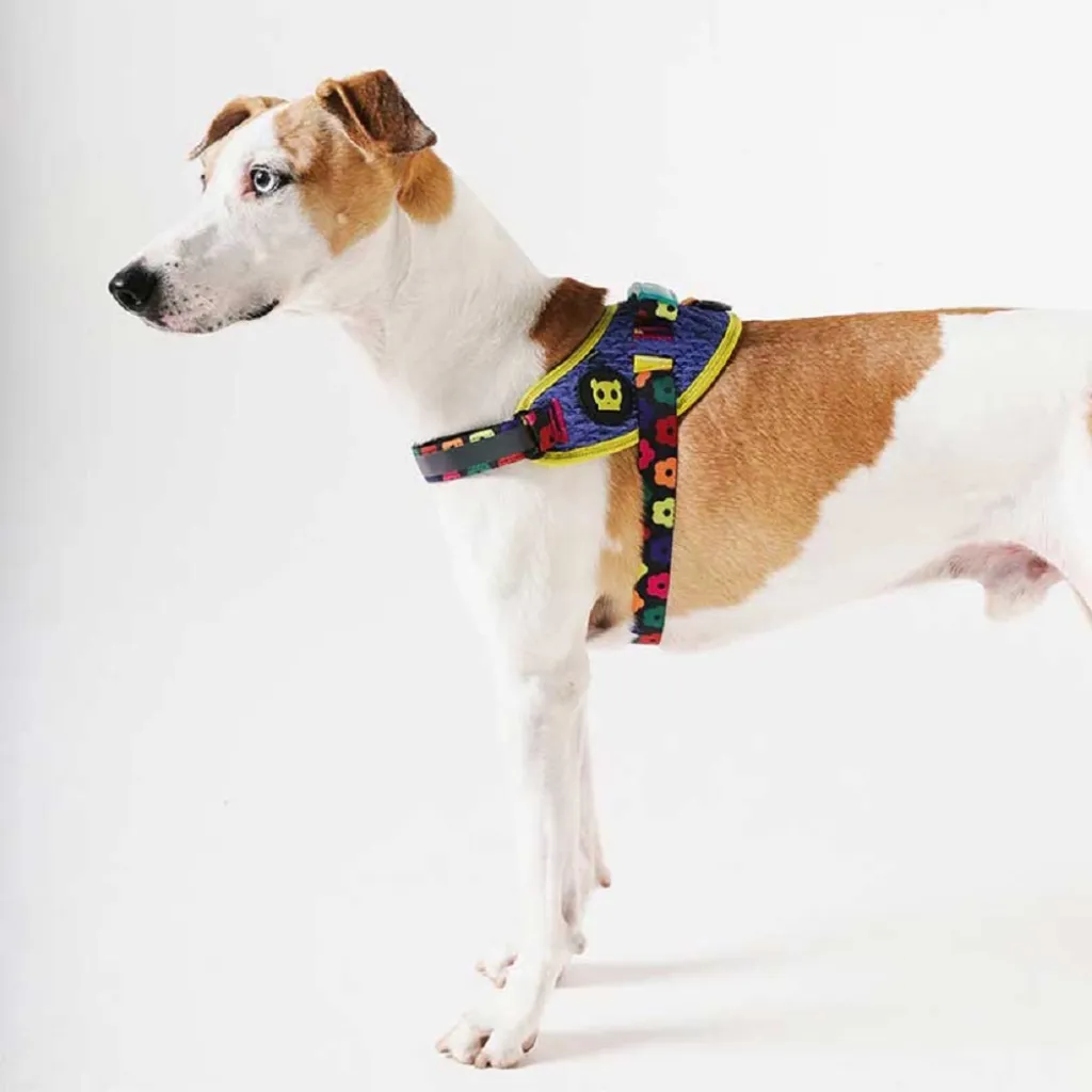 Шлейка для собак Zee.Dog - Samba FlyHarness