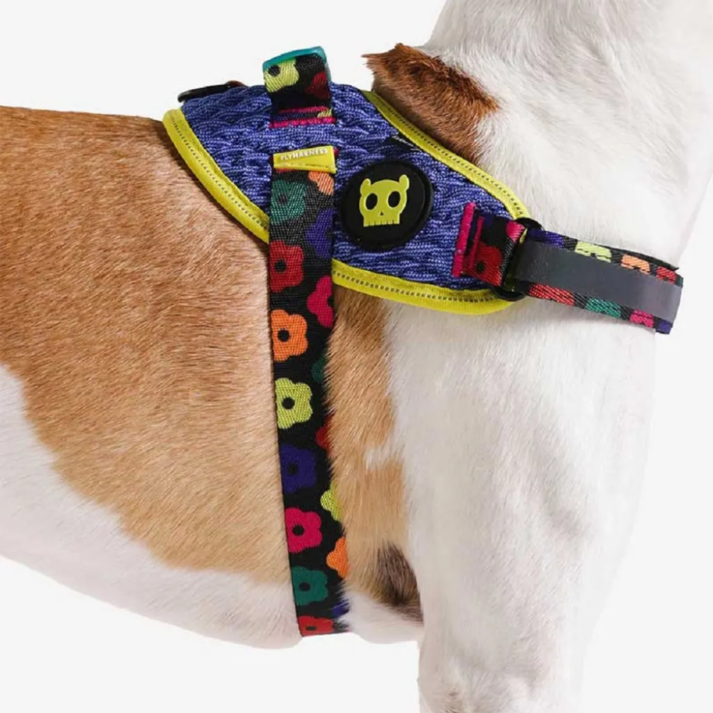 Шлейка для собак Zee.Dog - Samba FlyHarness