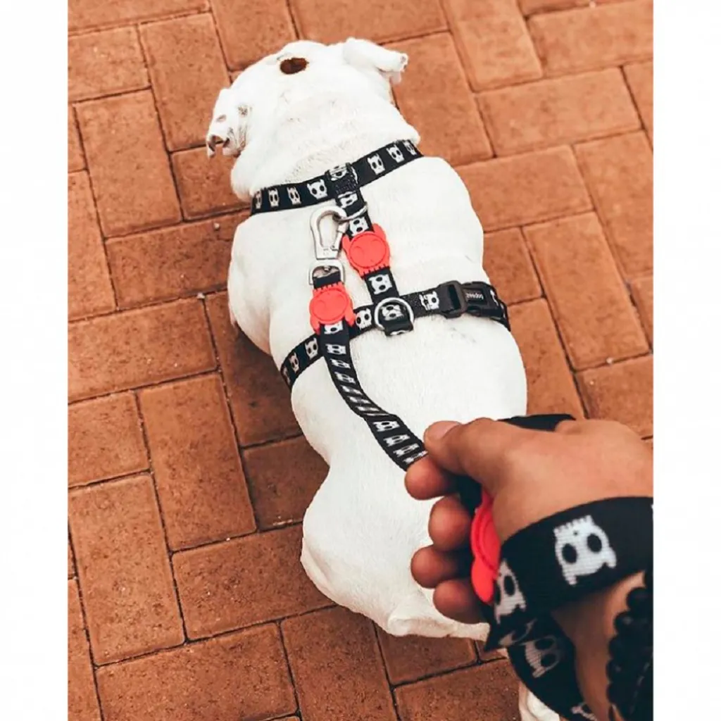 Шлейка для собак Zee.Dog - Skull 2.0 black H-Harness
