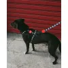 Шлейка для собак Zee.Dog - Skull 2.0 black H-Harness - Фото№7