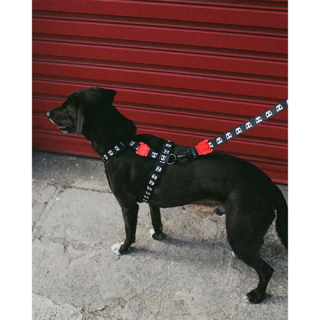 Шлейка для собак Zee.Dog - Skull 2.0 black H-Harness