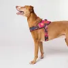 Шлейка для собак Zee.Dog - Selva Flyharness - Фото№5