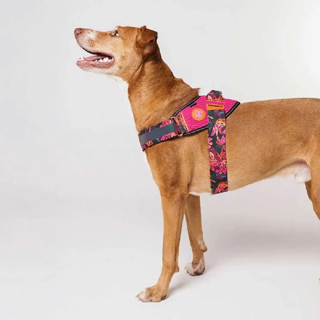Шлейка для собак Zee.Dog - Selva Flyharness