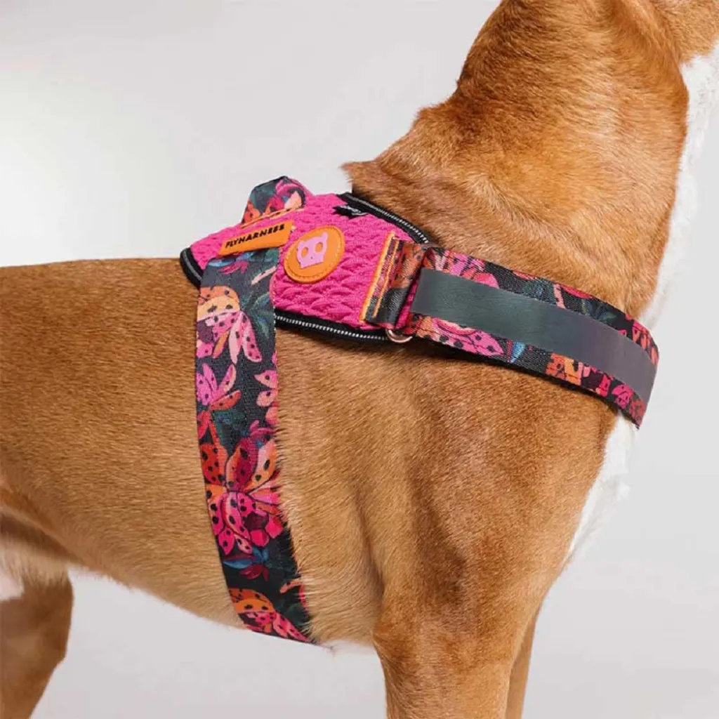 Шлейка для собак Zee.Dog - Selva Flyharness
