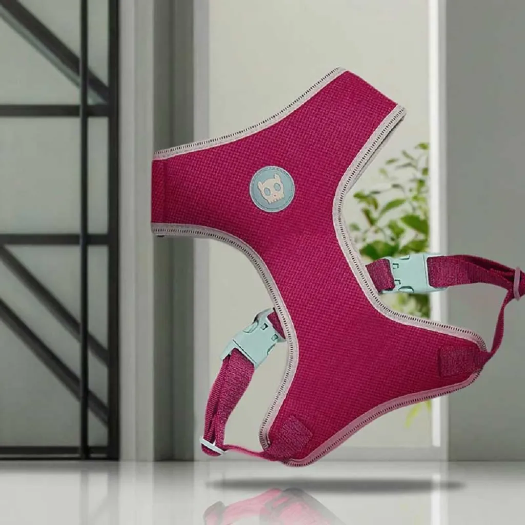 Шлейка для собак светоотражающий Zee.Dog - Nox Sidus Adjustable Air Mesh Harness