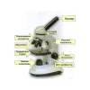 Мікроскоп студентський Му First Lab MFL-06 - Фото№5